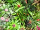 Un petit coin de jardin qui nous a fait penser à Marthe (…