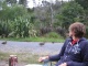Nous ne sommes pas seuls longtemps. Une famille de canards vient…