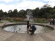 Martin taquine le canard au jardin de roses.