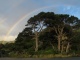 Pour la St-Valentin, Martin m'a commandé un arc-en-ciel.