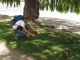 Martin, l'ami des animaux prise deux. Sur le bord du lac à…