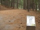 Nouveau sport numéro deux: le Frisbee-golf! Étape …