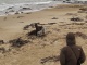 Et on tombe sur cette famille de lions de mer. Les panneaux pres…