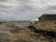 À quelques pas, Petrified Forest. Une ancienne forê…