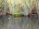 Mirror Lakes. La personne qui a travaillé sur ce concept …