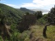 Les Cathedral cliffs de Gore Bay, sur la route vers Kaikoura