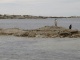 Couple d'albatros (?)