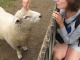 En veux-tu de la tendresse!