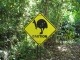 On termine notre weekend de rêve à Mossman Gorge, l…