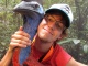 L'animal que l'on veut tous apercevoir est le Cassowary, un gros…