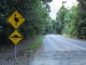 On poursuit notre route. Il faut faire attention aux Cassowary!