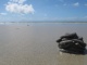 Une crotte de sable faite par un petit animal qui se fait un tun…