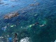 L'eau est très claire et les coraux de toutes beaut&eacut…