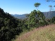 Sur le chemin du retour, en route vers la Finch Hatton Gorge