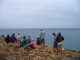 Du haut de ce monticule, on observe les baleines danser. Elles s…