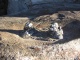 Minuscules statuettes intégrées aux rochers &agrav…