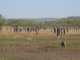 Ceci n'est pas un cimetière, mais bien un champs de termi…