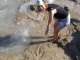 Broome est aussi un lieu d'observation d'empreintes de dinosaure…