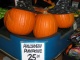 À 25$ la citrouille, on comprend pourquoi!