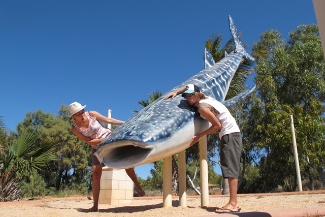 Le requin-baleine, à défaut de l'avoir vu en vrai.