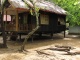 Dans cette cabane, il y a une petite cuisine, pour nourrir les g…