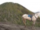 La marche jusqu'au sommet du volcan prend environ 45 minutes. Ma…