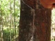 Pour notre aventure, nous sommes un groupe de 6 personnes (3 cou…