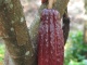Cacao