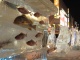 Poissons entiers dans des sculptures sur glace, il fallait y pen…