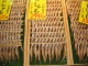 Poissons séchés empalés par la tête. …