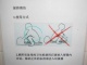 Comment utiliser la toilette japonaise (ou toilette turque, c'es…